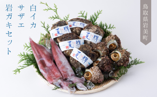 【日本海よりお届け！】鳥取県岩美町★白イカ・サザエ・岩ガキセット🦑