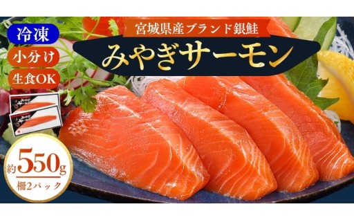 宮城県漁協直送の旨さ！刺身で味わうとろける、みやぎサーモン！