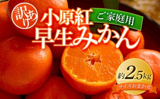 【訳あり】ご家庭用小原紅早生みかんサイズおまかせ