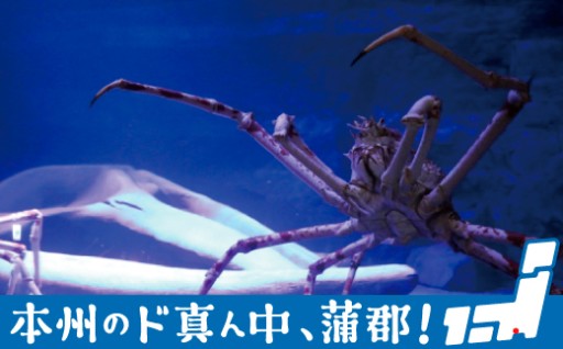 蒲郡市人気スポット「竹島水族館」のお礼の品の数々をご覧ください！