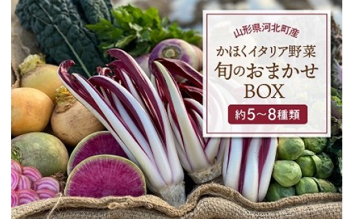 🍅かほくイタリア野菜 旬のおまかせBOX 5～8種🍆