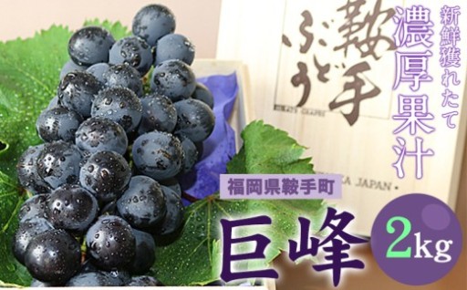もうすぐ旬！巨峰！