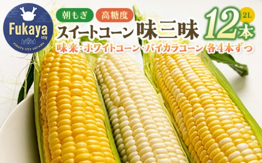 朝もぎスイートコーン 味三昧　2L 計12本