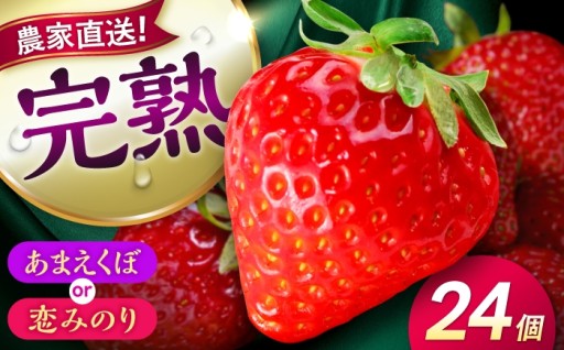 ＼ 先行予約 ！／高司農園の完熟いちご24個