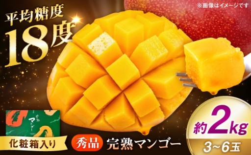 夏限定！甘さにこだわった濃厚完熟マンゴーを熊本からお届け！