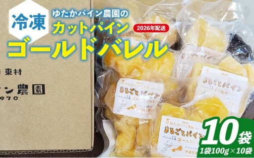 ゆたかパイン農園の冷凍カットパイン ゴールドバレル（1袋100g×10袋セット）
