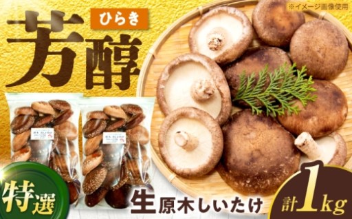 自然豊かな白川町で育てた自慢の原木生しいたけ