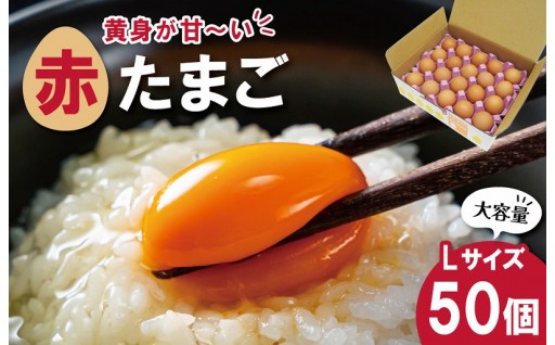 新登場！濃厚な黄身とハリが自慢の卵🍳