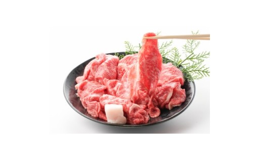 ＜毎月定期便＞＜訳あり＞飛騨牛5等級　切り落とし