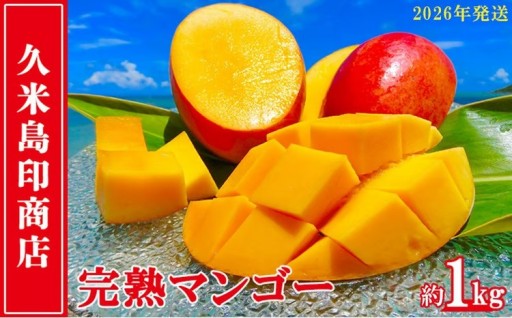 【2026年発送】久米島印商店 完熟マンゴー 約1kg 
