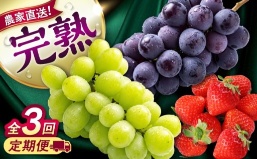 先行予約！旬のフルーツを食べ比べ♪ (ピオーネ＆シャインマスカット＆いちご)