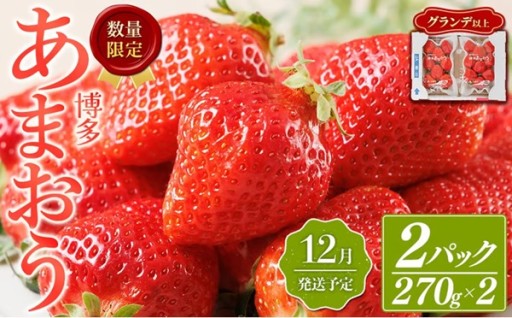 ＜数量限定・先行予約受付中！2026年12月中旬より順次発送＞福岡県産苺「あまおう」グランデ以上(計約540g)