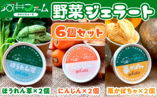 野菜ジェラート(3種・計6個)