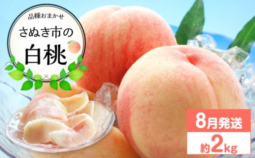 【先行予約】さぬき市の白桃 約2kg 8月発送 品種おまかせ