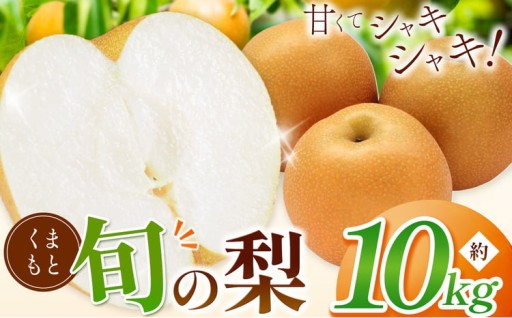 【 先行予約 】 くまもと 旬の 梨 約 10kg