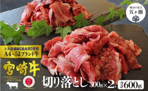 宮崎牛 切り落とし 600g (300g×2)