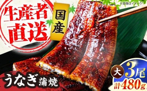 【土用の丑に間に合う！】豊前市産うなぎ蒲焼✨