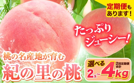 夏の贅沢、ここにあり！もぎたて新鮮「紀の里の桃」