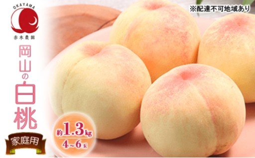 ご家庭用 岡山の白桃 約1.3kg 4～6玉