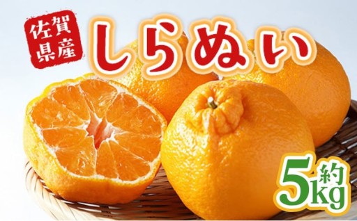 不知火 約5kg【2027年2月上旬～4月上旬発送予定】
