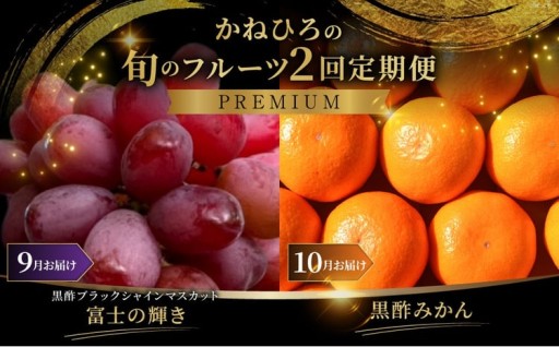 【 年2回定期便 （ 毎年9月 ・ 10月お届け予定 ） 】 かねひろの旬のフルーツ定期便 【 プレミアム 】