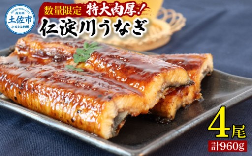 通常の２倍！仁淀川の特大肉厚うなぎ４尾セット