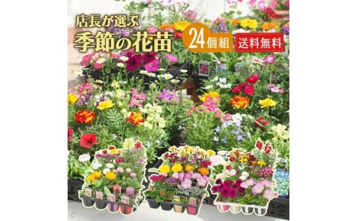 おすすめの季節のお花をお届けします🌼
