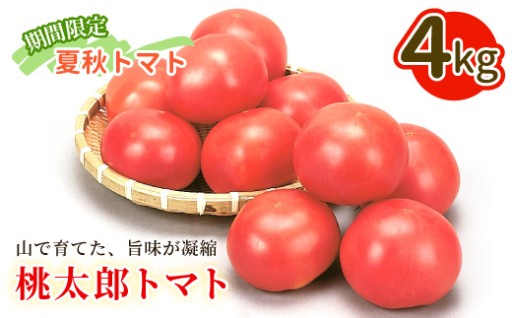 【夏限定】桃太郎トマトのご紹介！