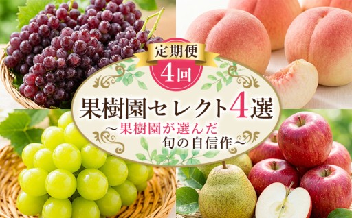 【定期便4回】果樹園セレクト４選 果樹園が選んだ、旬の自信作
