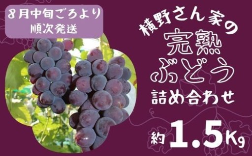 【先行予約】宍粟市自慢の完熟ぶどう　1.5Kg