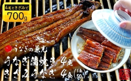 【土用の丑配送対応】三河一色産うなぎ 蒲焼き 《4尾（計500g）》＋きざみうなぎ（50g×2食）セット