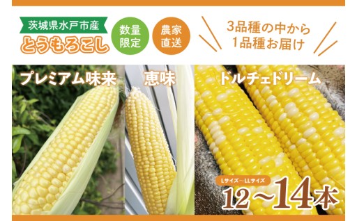 【こばやし農園】 とうもろこし 12～14本