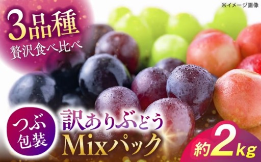 ＼贅沢ぶどう3種盛！／大満足の計約2kgセット
