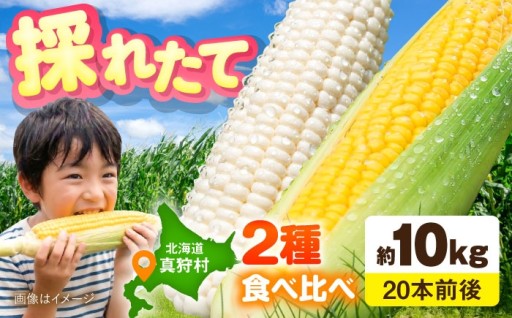 🌽まるでフルーツ！？とうもろこし食べ比べセット！