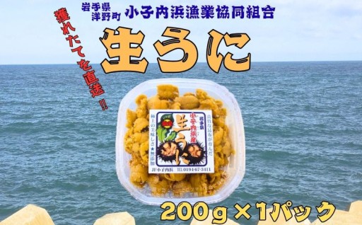 「種市産」天然生うに200g×1パック ミョウバン不使用 無添加