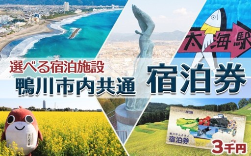 鴨川の夏を満喫！市内37施設で使える共通宿泊券をお届けします。