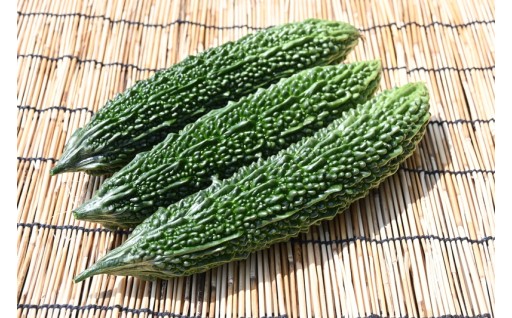 苦味まろやか！？北海道産ゴーヤ！！