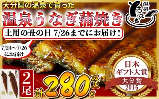 土用の丑までにお届け  温泉うなぎ蒲焼 2尾