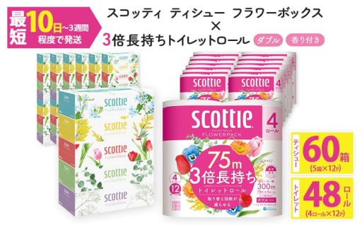 スコッティ ティシュー フラワーボックス 250組 60箱＆スコッティ フラワーパック 3倍長持ち ダブル 48