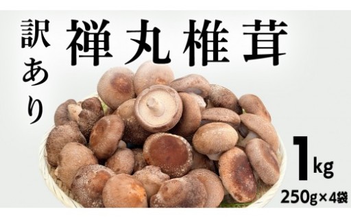 しっかりとした食感と旨み！禅丸椎茸