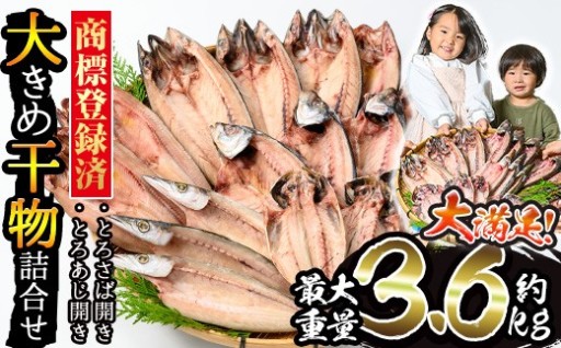  ＜選べる重量＞大きめ干物詰合せ＜合計約2kg～3.6kg＞
