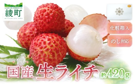 ✨【旬の美味しさをそのままお届け】国産 生ライチ✨