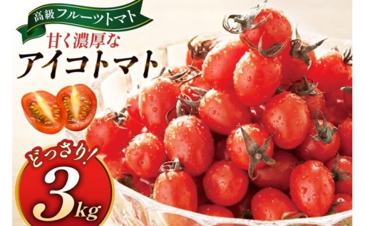 全国にファンがいる高級フルーツトマト アイコ