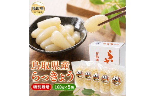 特別栽培らっきょうの甘酢漬_T2600030