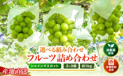 シャインマスカット2～3房 (約1kg) 
