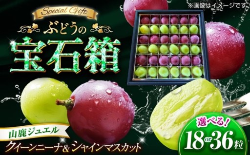 ぶどう【選べる容量】山鹿ジュエル 18粒 or 36粒 シャインマスカット クイーンニーナ 【合同会社 社方園】