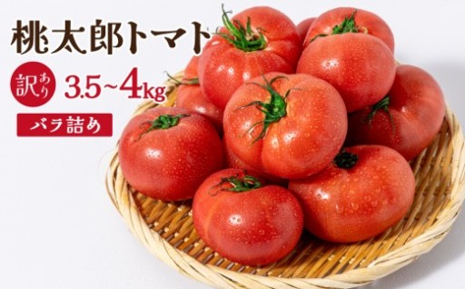 【訳あり】桃太郎トマト