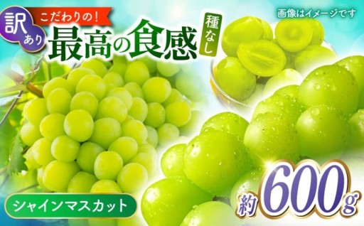【先行予約】【訳あり】 こば農園 こだわりのシャインマスカット 約600g