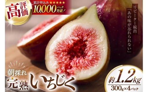 石川県内一の生産地宝達志水町で育てた完熟いちじく