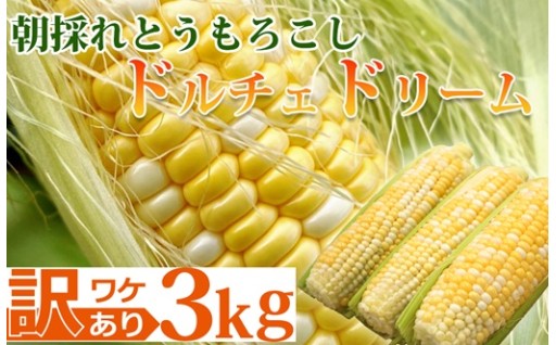 訳ありでも驚きの甘さ。朝採れとうもろこしドルチェドリーム【7/8まで受付中！】